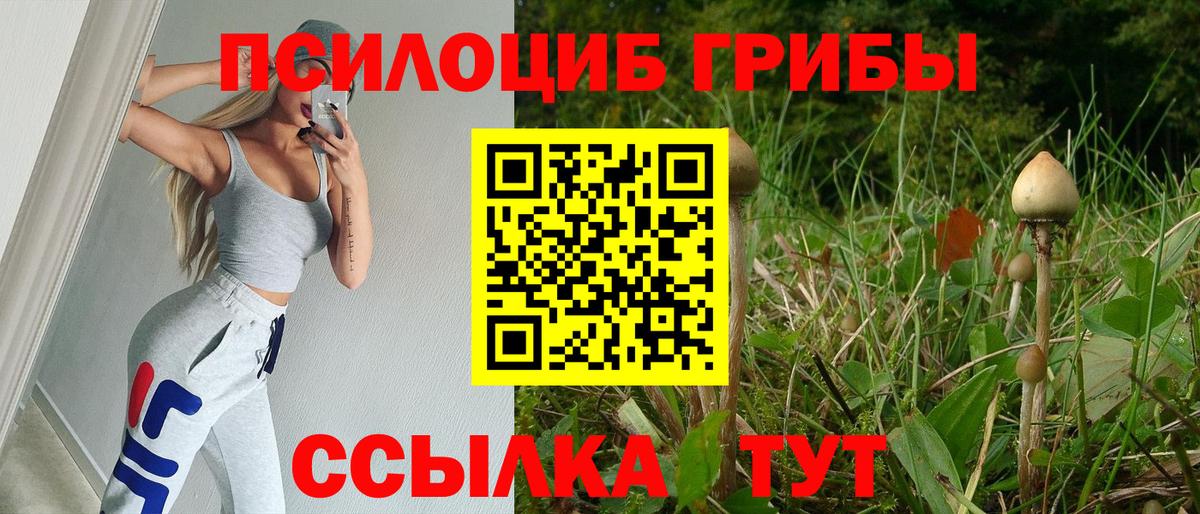 Псилоцибиновые грибы GOLDEN TEACHER  Вход с VPN  Алушта  Галлюциногенные грибы GOLDEN TEACHER 