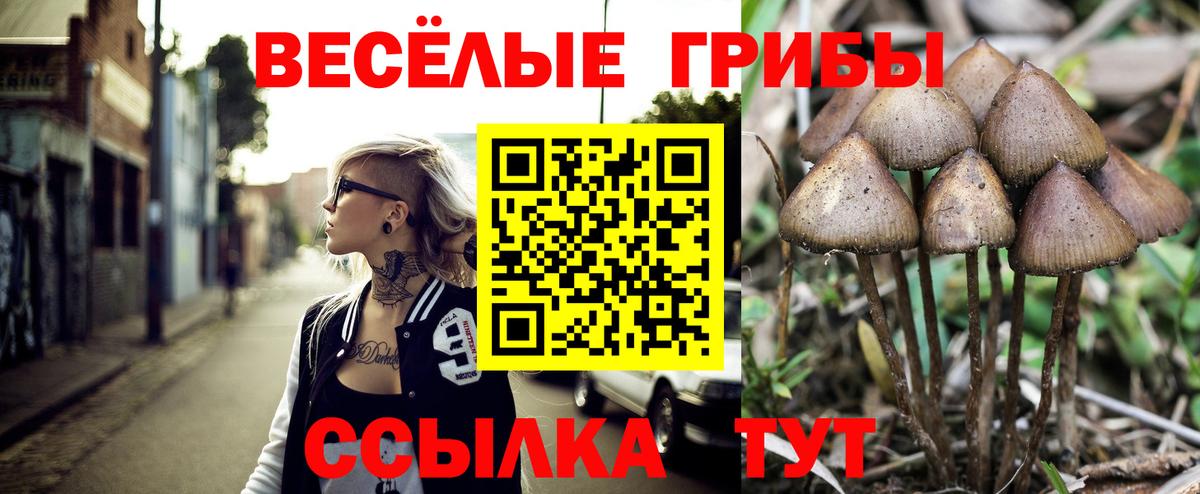 Галлюциногенные грибы прущие грибы Алушта